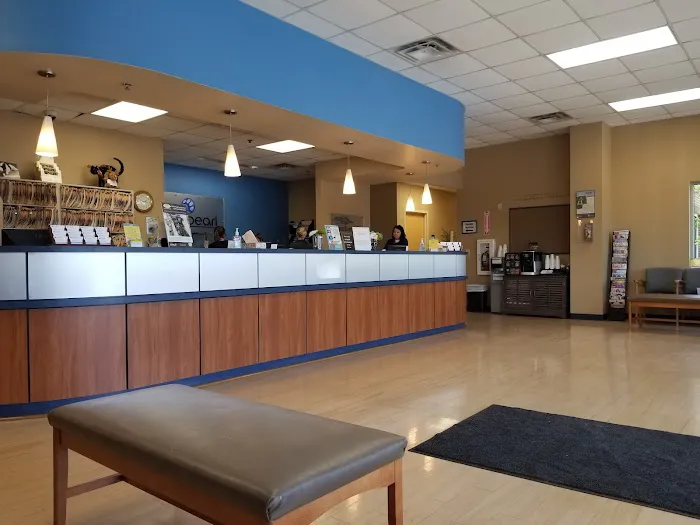 CVCA Cardiac Care For Pets Picture 6