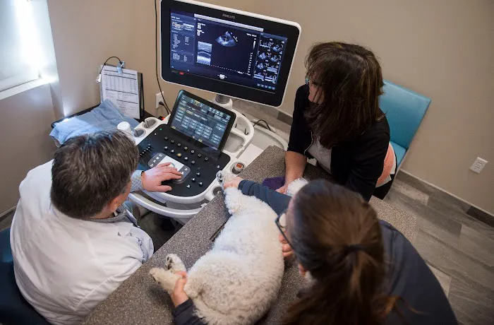 CVCA Cardiac Care For Pets Picture 4