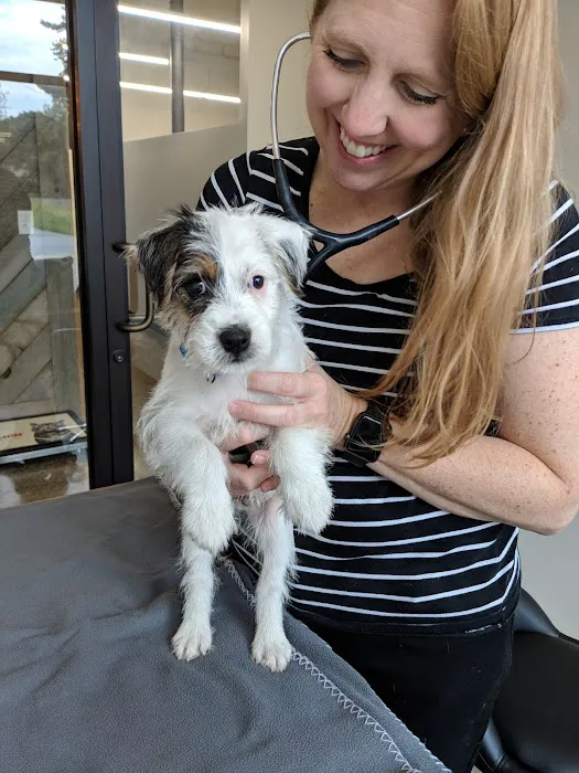 Urban Village Veterinary Care Picture 4