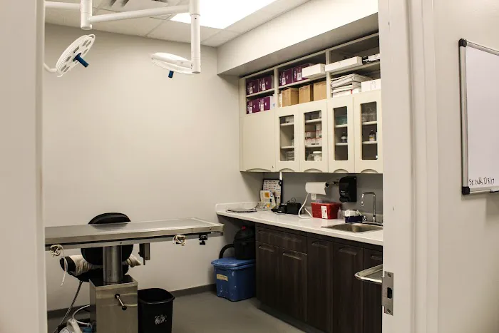 Johnson Animal Clinic Picture 1