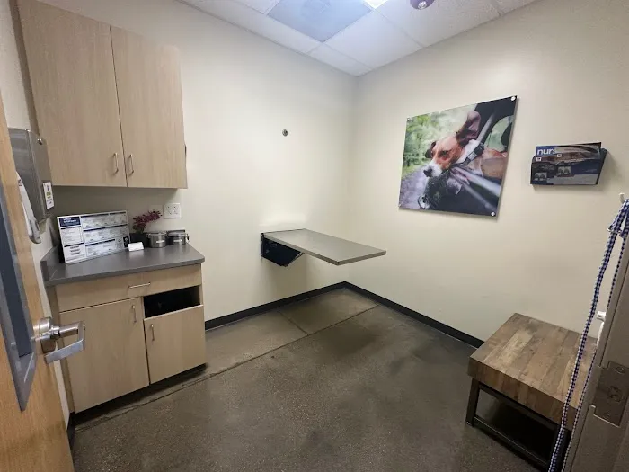 Vetco Total Care Animal Hospital Picture 9