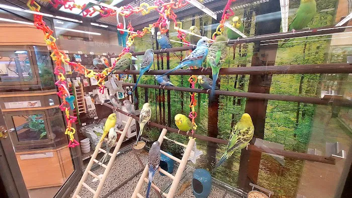 Petco Picture 10