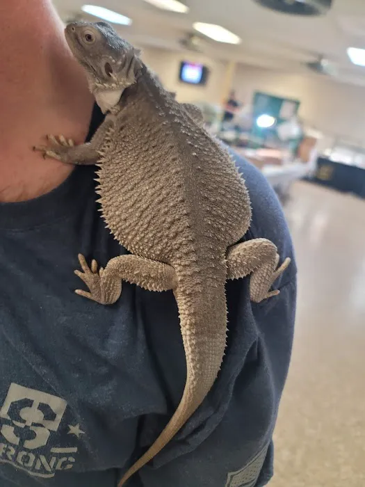 INDIANA REPTILE BREEDERS EXPO *once a month* Picture 9