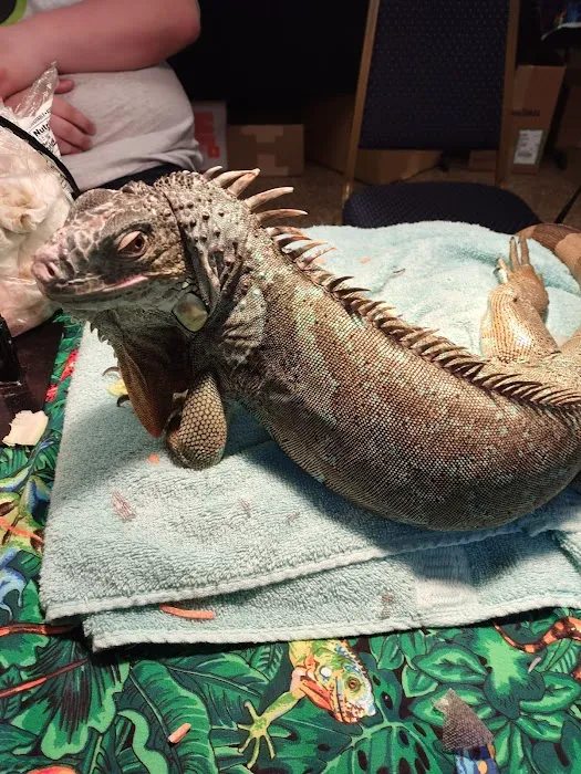 INDIANA REPTILE BREEDERS EXPO *once a month* Picture 10