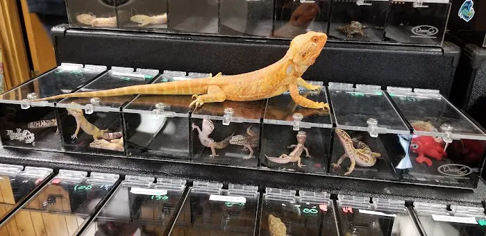 INDIANA REPTILE BREEDERS EXPO *once a month* Picture 5