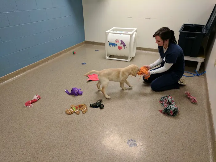 Eastside Animal Hospital Picture 3