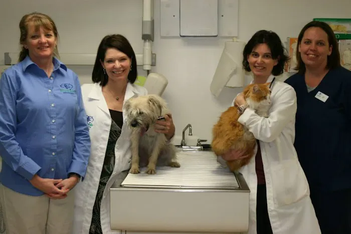 Eastside Animal Hospital Picture 6