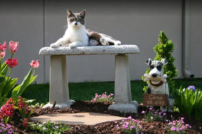 Eastside Animal Hospital Picture 8