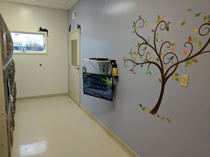 Eastside Animal Hospital Picture 4