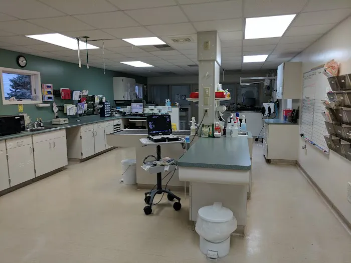 Eastside Animal Hospital Picture 1