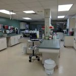 Eastside Animal Hospital
