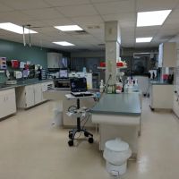Eastside Animal Hospital ico