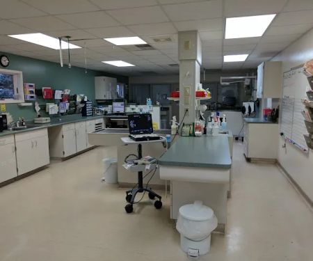 Eastside Animal Hospital