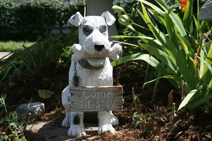 Eastside Animal Hospital Picture 7