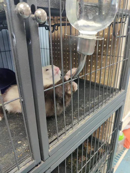 Greentree Pet Center Picture 10
