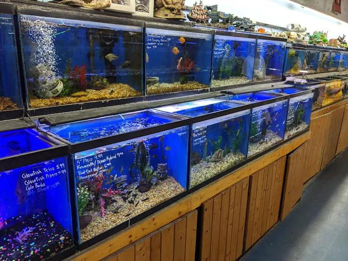 Greentree Pet Center Picture 2