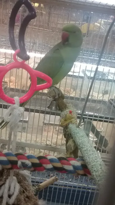 Greentree Pet Center Picture 8