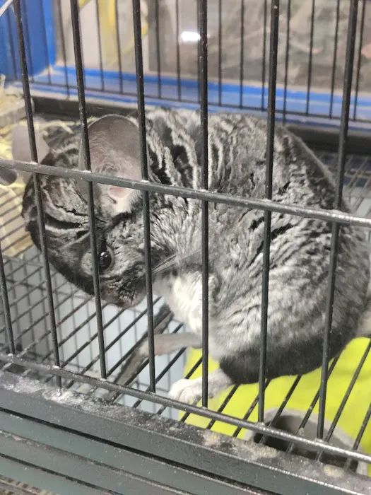 Greentree Pet Center Picture 4