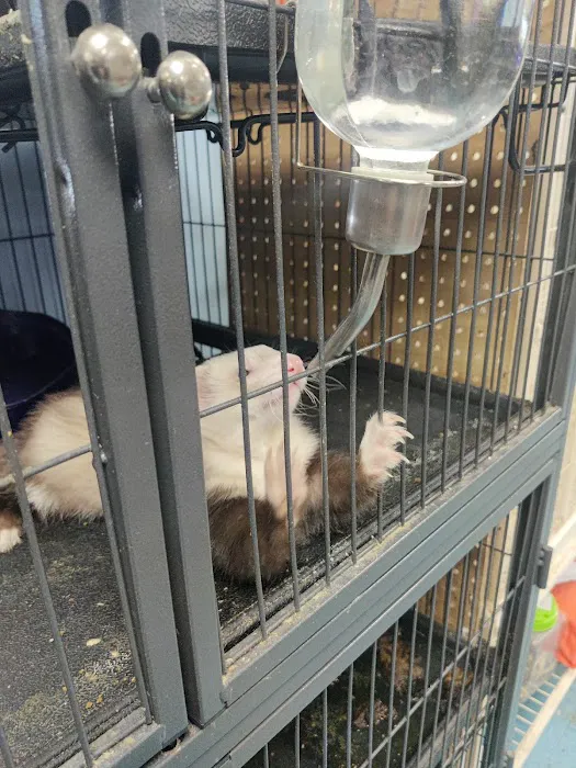 Greentree Pet Center Picture 6
