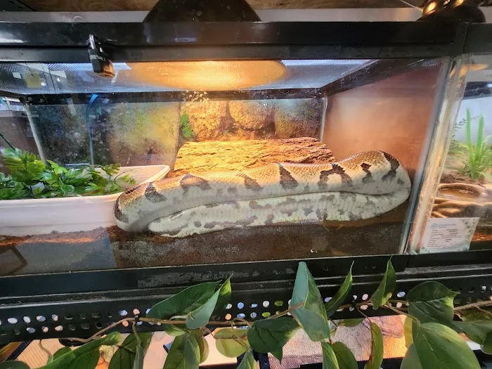 Greentree Pet Center Picture 5