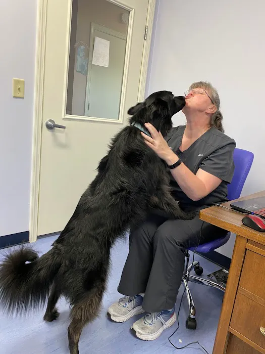 Care-Pets Animal Hospital & Wellness Center Picture 4