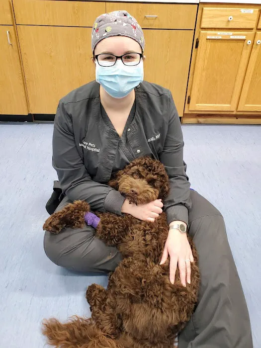 Care-Pets Animal Hospital & Wellness Center Picture 5