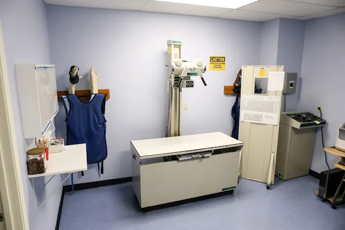 Care-Pets Animal Hospital & Wellness Center Picture 9