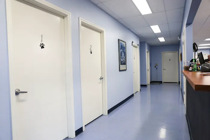 Care-Pets Animal Hospital & Wellness Center Picture 6