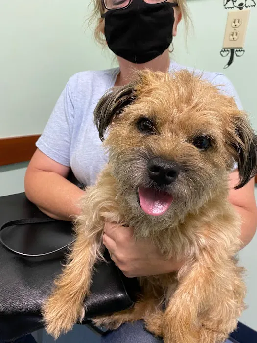 Care-Pets Animal Hospital & Wellness Center Picture 3