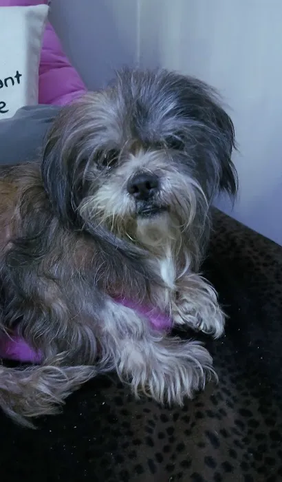 Clarksville Animal Hospital Picture 2