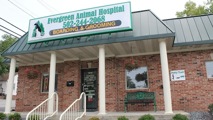 Evergreen Animal Hospital Picture 8