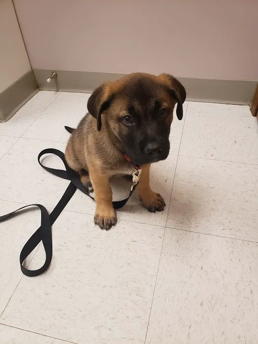 Evergreen Animal Hospital Picture 6