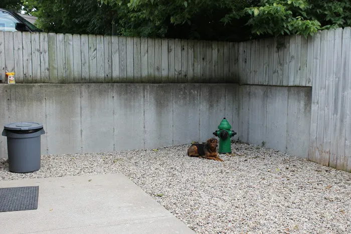 Evergreen Animal Hospital Picture 2