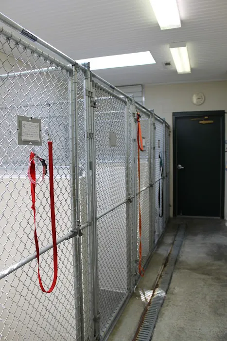 Evergreen Animal Hospital Picture 7