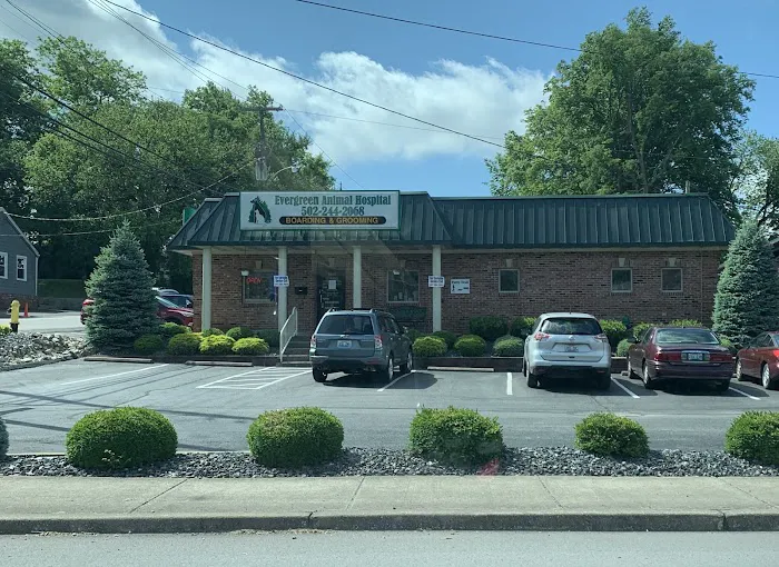 Evergreen Animal Hospital Picture 10