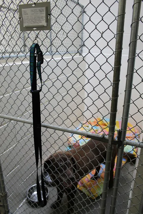 Evergreen Animal Hospital Picture 5
