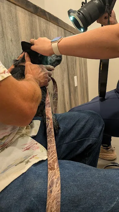 Bluegrass Veterinary Vision Picture 3