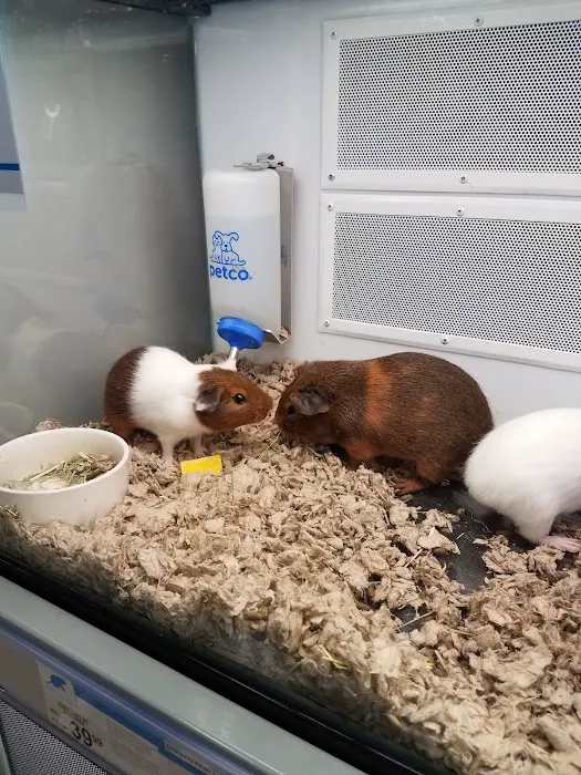 Petco Picture 7