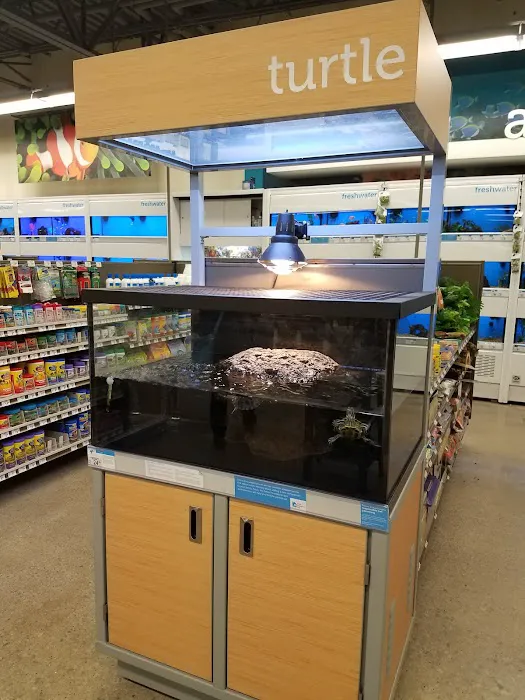 Petco Picture 8