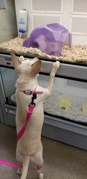 Petco Picture 6