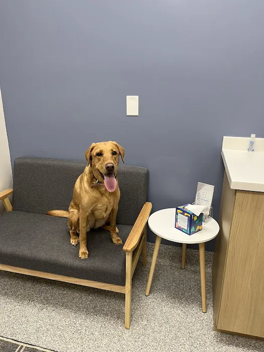 Louisville Veterinary Urgent Care Picture 3