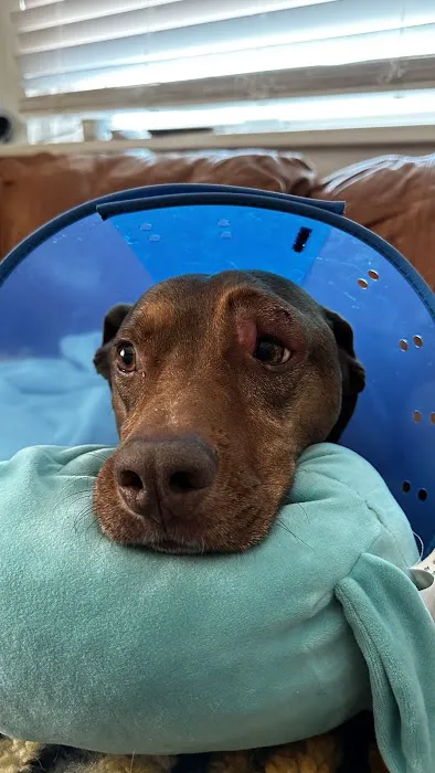 Louisville Veterinary Urgent Care Picture 1