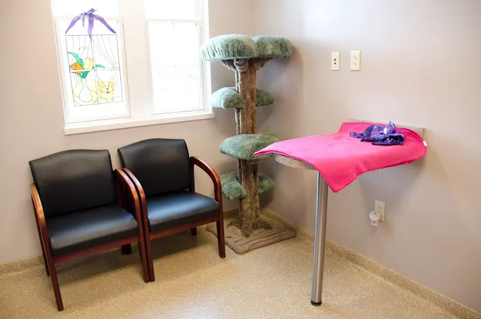 Animal Medical Center of Middletown Picture 5