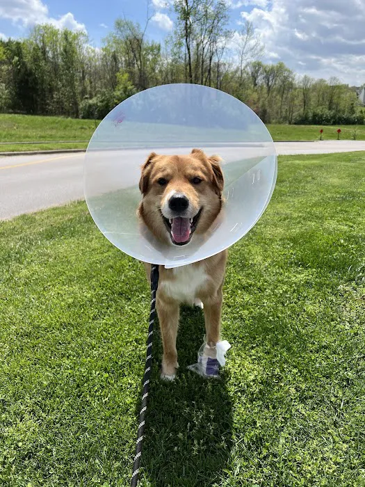 Shelbyville Road Veterinary Clinic Picture 2