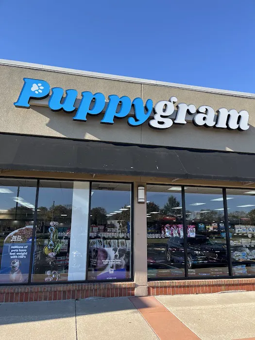 Puppygram Louisville Picture 4