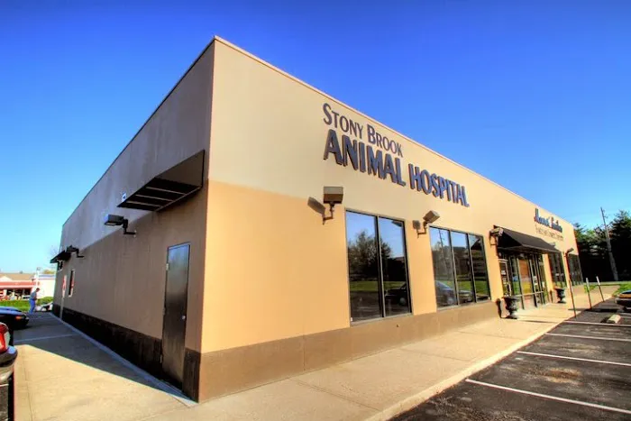 Stony Brook Animal Hospital Picture 9