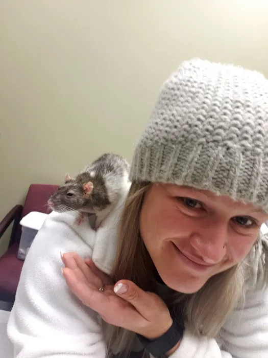 Stony Brook Animal Hospital Picture 7