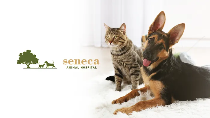 Seneca Animal Hospital Picture 10