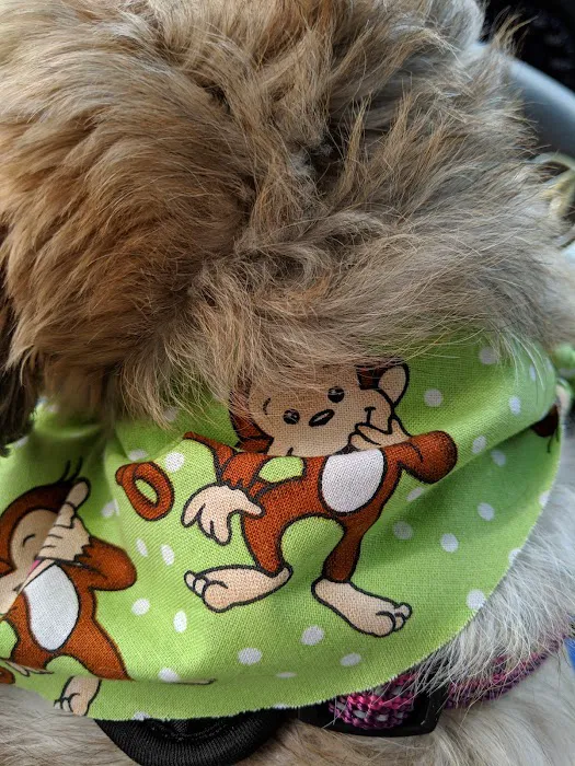 Seneca Animal Hospital Picture 5