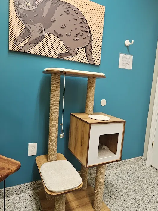 PetVet365 Pet Hospital Louisville / Jeffersontown Picture 7